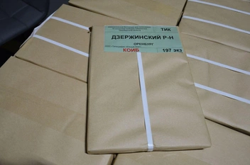 Источник: Избирком Оренбургской области / T.me