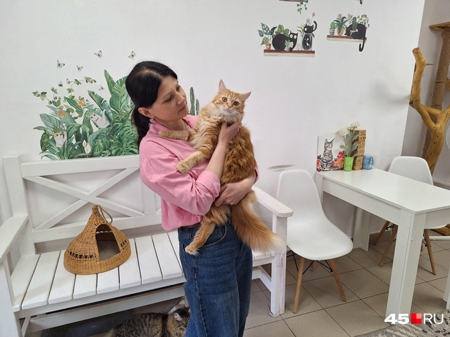 Создатель котокафе Надежда Иванова и кот Ричи | Источник: Александр Лисихин