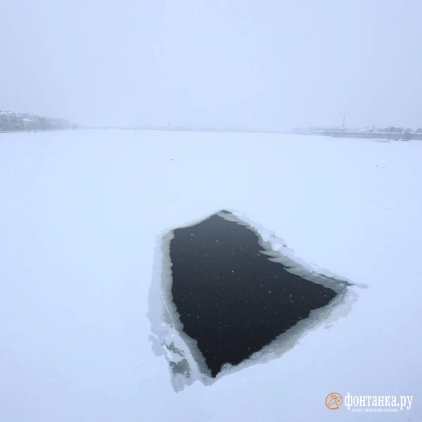 Источник: Валентин Егоршин / «Фонтанка.ру»