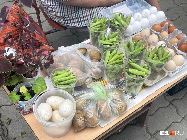 Домашние продукты на прилавке рынка | Источник: Елизавета Хубулава / E1.RU