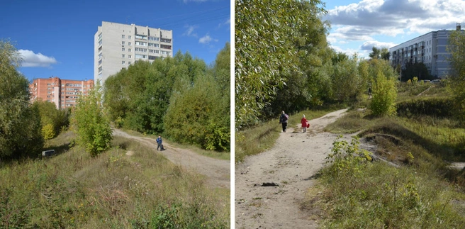 школьники на тропе в птичнике