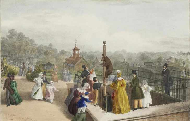 Лондонский зоопарк. Литография Джорджа Шарфа. 1836 г. | Источник: LONDON MUSEUM
