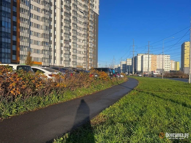 Источник: предоставлено хозяйкой Бони