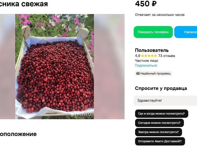 Эти ягоды бережно собрали в Ялуторовском районе. Свежие, не заморозка | Источник: сайт бесплатных объявлений