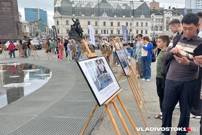 Источник: Елена Буйвол / VLADIVOSTOK1.RU