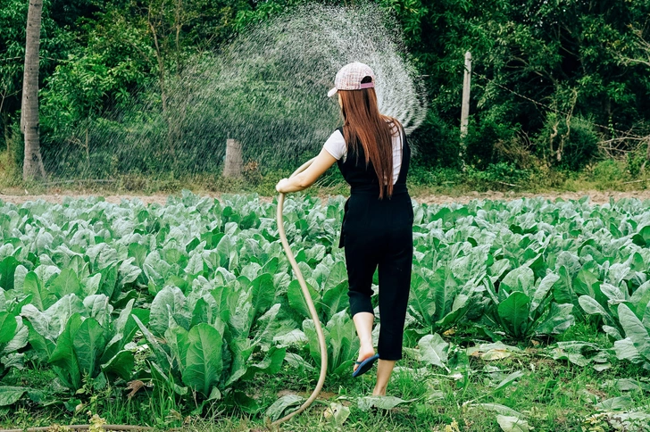 Источник: Тони Фэм/Unsplash