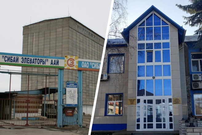 В Башкирии — два мукомольных завода | Источник: Министерство сельского хозяйства РФ; «Яндекс.Карты»