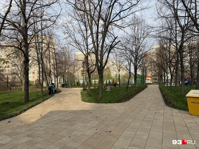 В этой части больше всего тени | Источник: Валерия Дульская / 93.RU