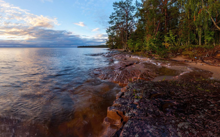 Развеять хандру: 10 экотроп Ленинградской области, по которым стоит прогуляться этой осенью