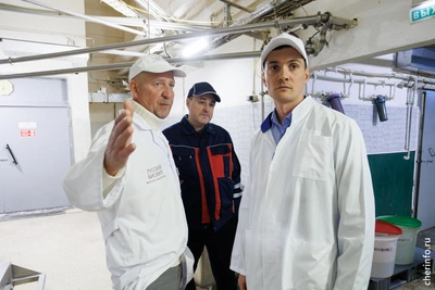 Бизнес профинансирует ремонт сквера у «Рояль-Вио» в Череповце