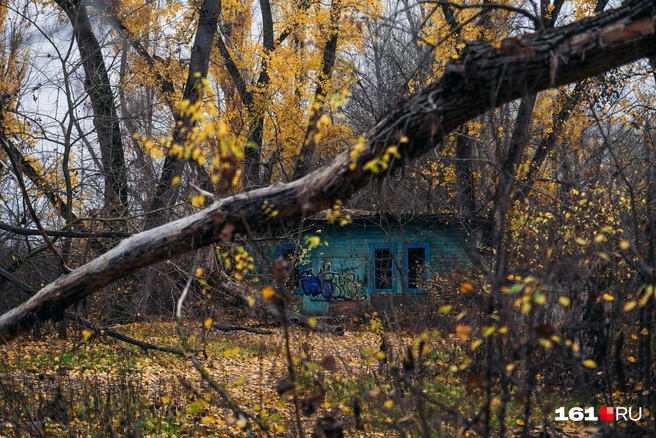 Источник: Евгений Вдовин / 161.RU