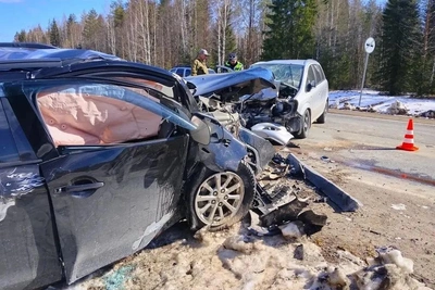 Автомобильное ДТП в Архангельской области: пострадал ребенок, водитель мог уснуть