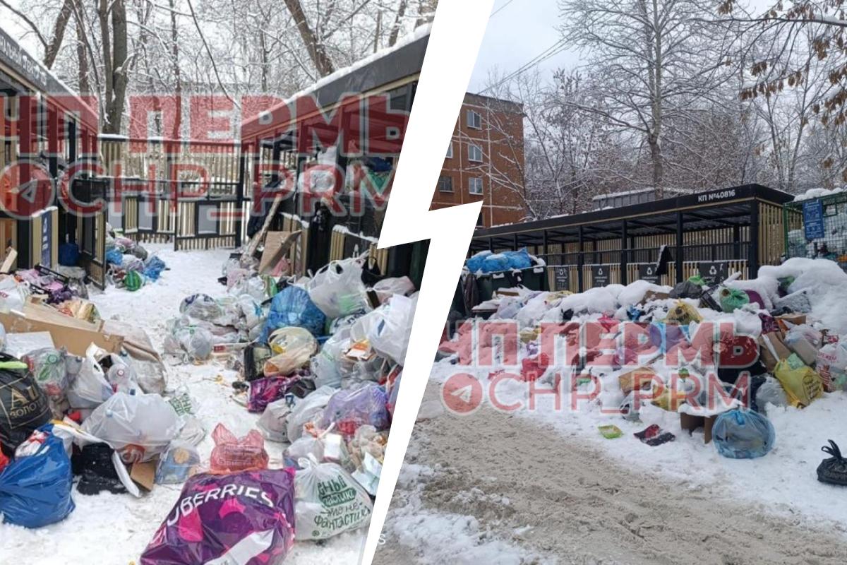 Пермяки жалуются на переполненные мусорные баки. Узнали, почему не вывозят мешки