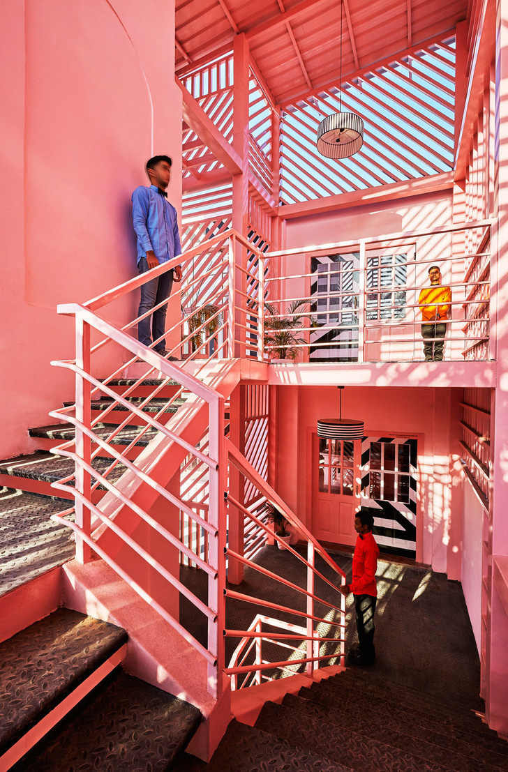 The Pink Zebra: ресторан в эстетике Уэса Андерсона (фото 4)