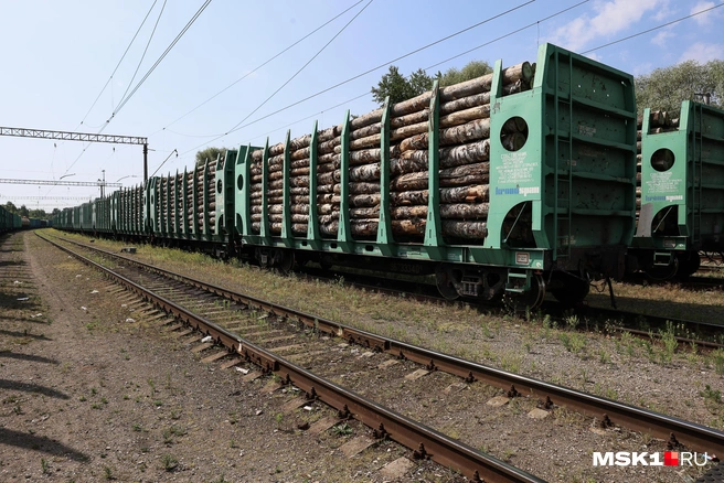 Трагедия произошла на железной дороге | Источник: Артём Устюжанин / MSK1.RU