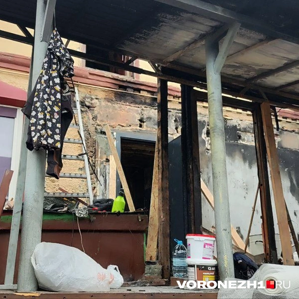 Источник: Татьяна Тельпис / Voronezh1.ru