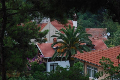 Turkish Real Estate Owned by Russian Celebrities and Bloggers