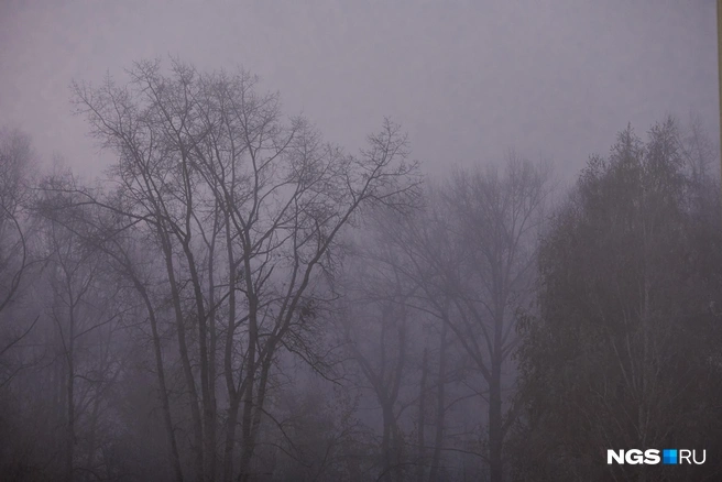 Водителям нужно быть особенно внимательными во время тумана | Источник: Александр Ощепков / NGS.RU