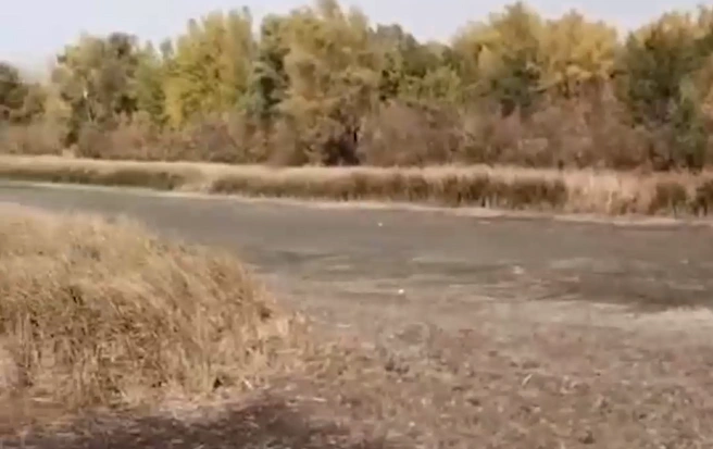 По жалобам дачников вновь проводят повторную проверку | Источник: О Волгограде Сталинграде / Telegram