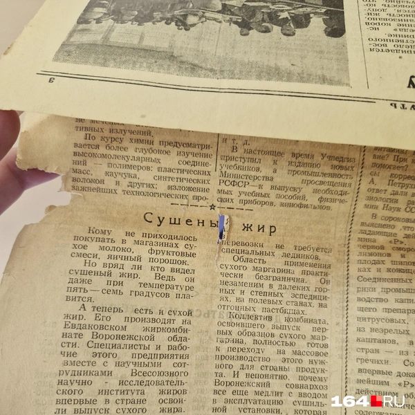 Источник: Виктория Федорова / 164.RU