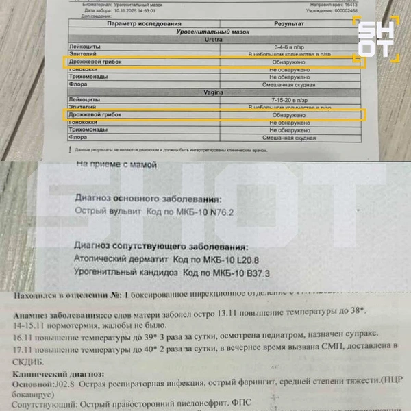 Источник: Shot / T.me