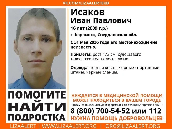 Источник: поисковой отряд «ЛизаАлерт»