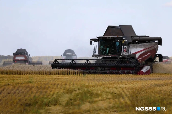 Уборка ведется напрямую  | Источник: Евгений Софийчук / NGS55.RU 