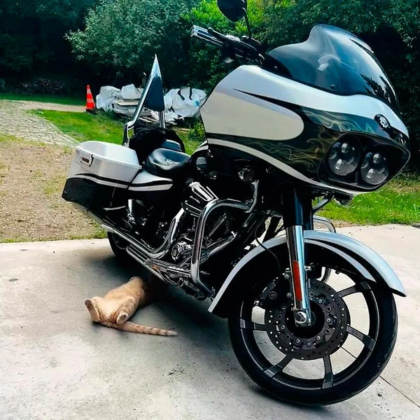 Источник: соцсети