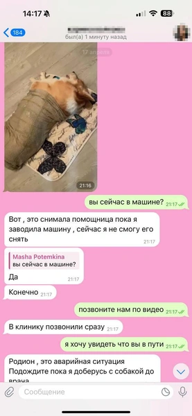 Но вскоре Мария не смогла участвовать в разговоре из-за нахлынувших чувств | Источник: Родион Проводин