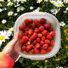 userpic__Анна Михайлова