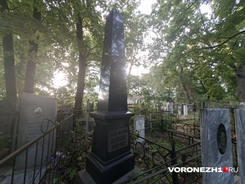 Источник: Алёна Воропаева / Voronezh1.ru