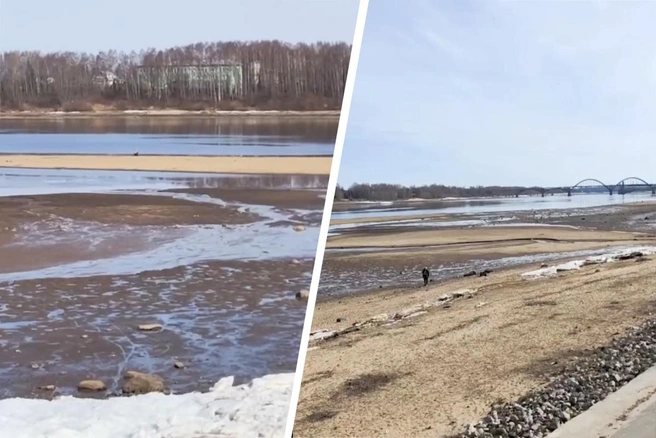 Раньше Рыбинское водохранилище было с нормальным уровнем воды | Источник: Анастасия Вязигина/ 76.RU