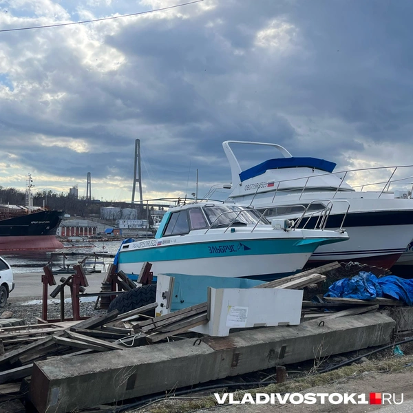 Источник: Елена Буйвол / VLADIVOSTOK1.RU
