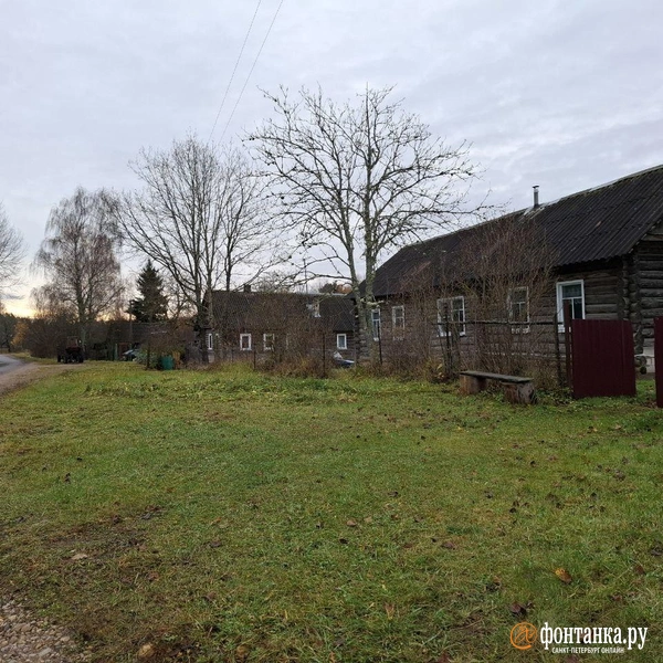 Источник: Ирина Багликова / «Фонтанка.ру»