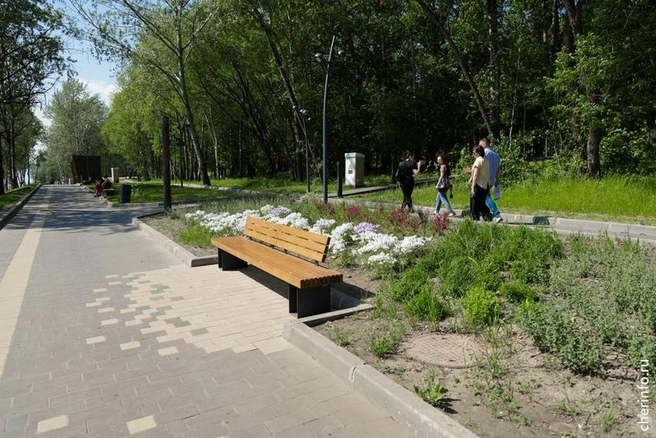 Источник: st.cherinfo.ru