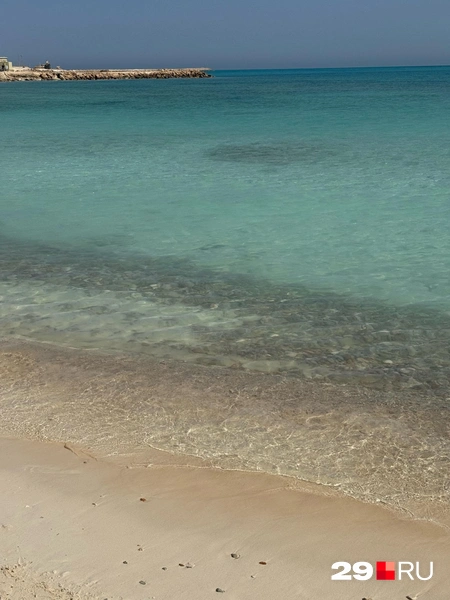 Источник: Валерия Богатырёва / 29.RU