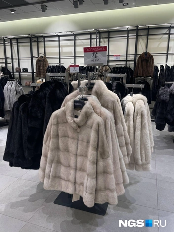  За пониманием цены лучше обратиться к консультанту | Источник: Алёна Золотухина / NGS.RU 