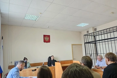 Суд в Кургане перенес заседание из-за госпитализации Камшиловой