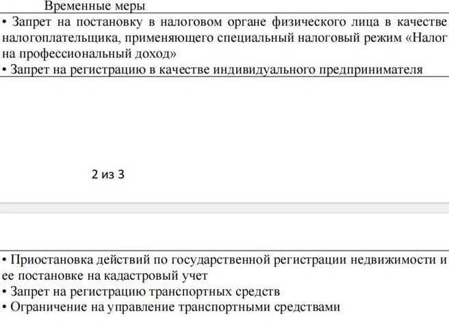 Перечень ограничений в выписке из реестра | Источник: предоставлено читателем 59.RU