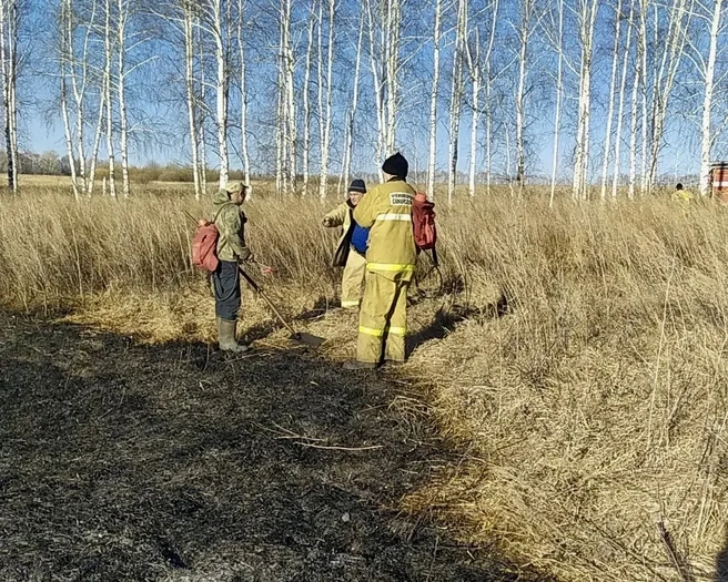 Площадь пожара составила 2,5 гектара | Источник: Минприроды Самарской области