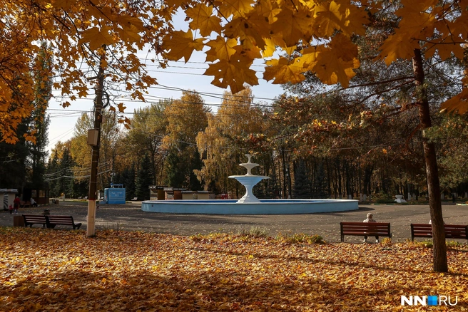 Осенью город становится по-особенному красивым | Источник: Наталья Бурухина / NN.RU