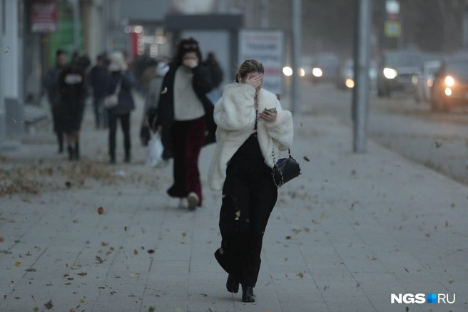 Новосибирцы прячут лица от летящей пыли и грязи | Источник: Андрей Бортко / NGS.RU