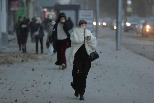 Источник: Андрей Бортко / NGS.RU