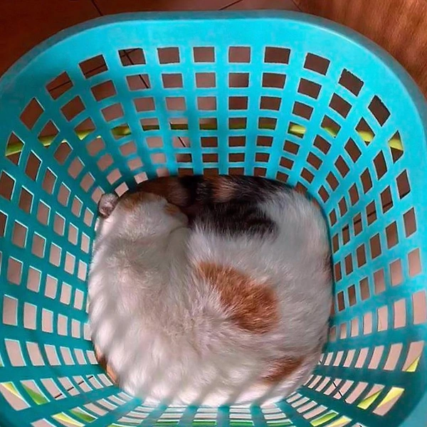 Источник: соцсети