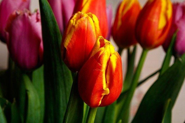 Источник: pixabay.com
