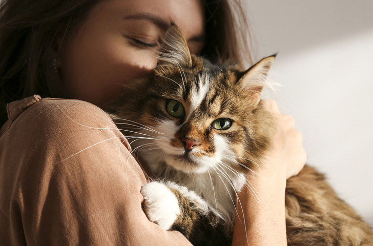 Почему вам обязательно нужно завести кота: 25 причин с фото