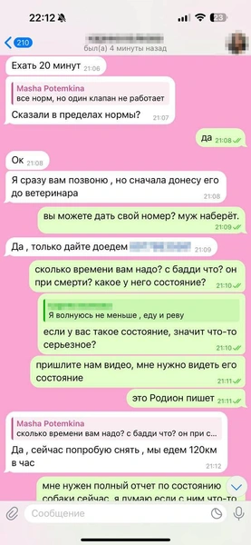 Но вскоре Мария не смогла участвовать в разговоре из-за нахлынувших чувств | Источник: Родион Проводин