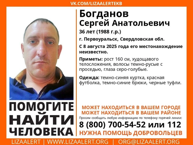 Источник: поисковый отряд «Лиза Алерт»