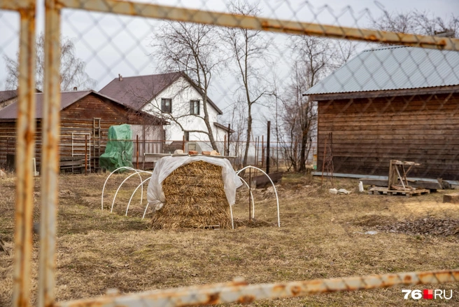 Во дворах можно заметить заготовленное сено | Источник: Кирилл Поверинов / 76.RU