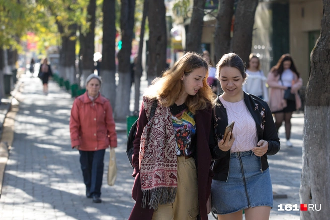 Власти просят граждан отнестись с пониманием | Источник: Евгений Вдовин / 161.RU